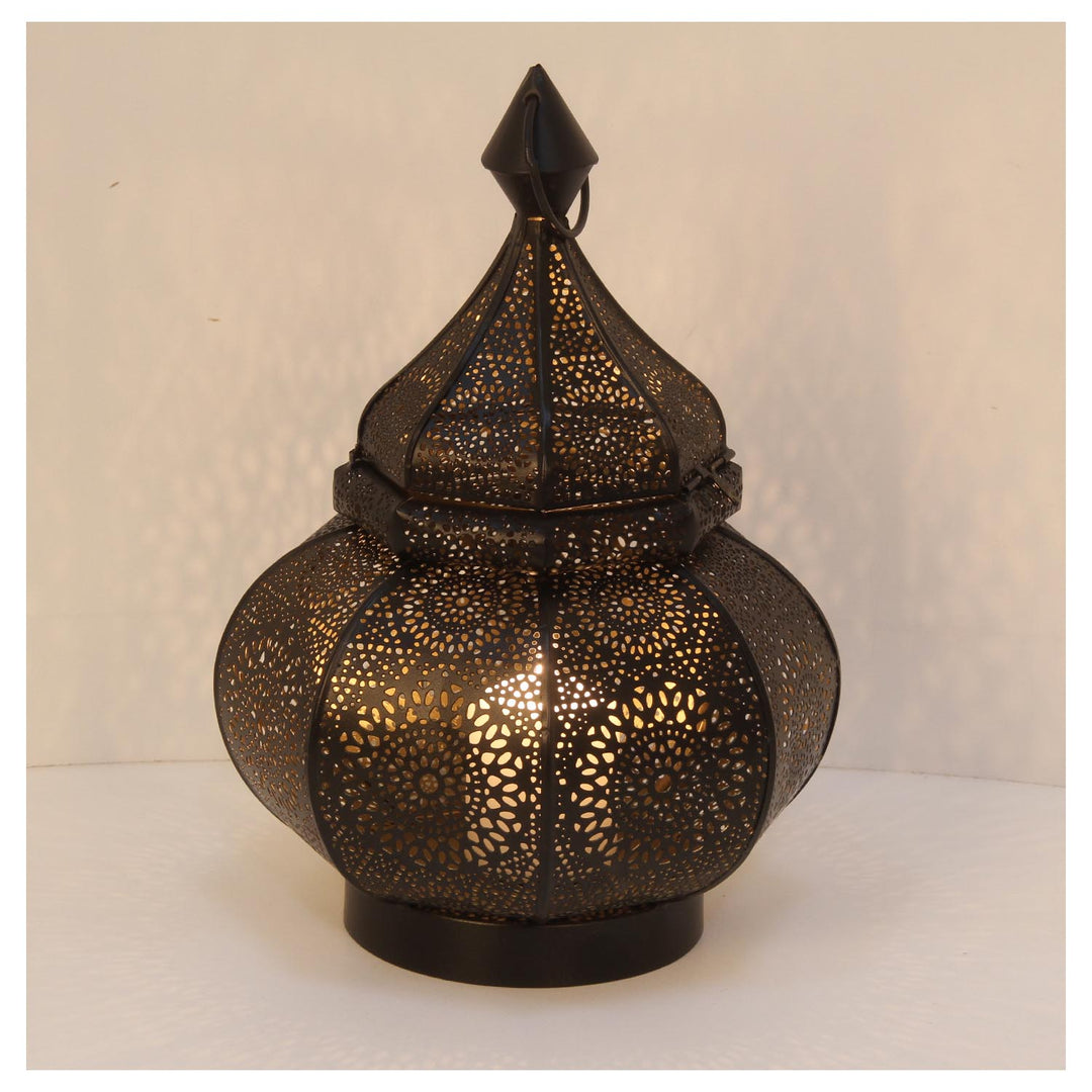 Oriental lantern Abir