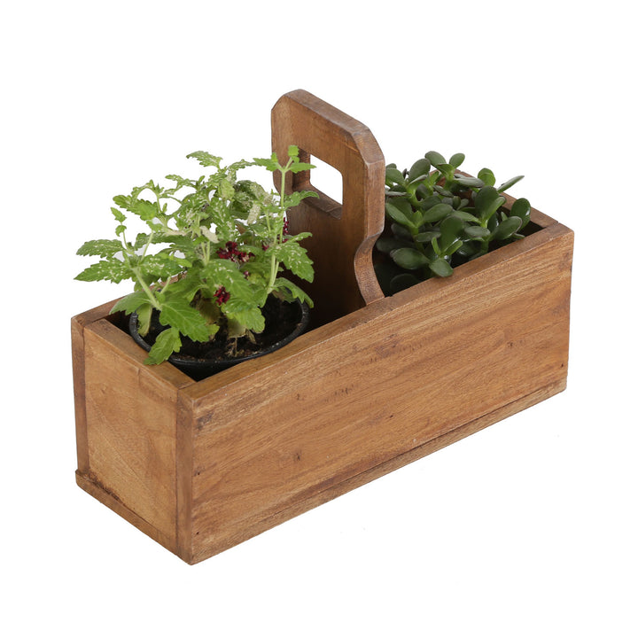 Viola plant box