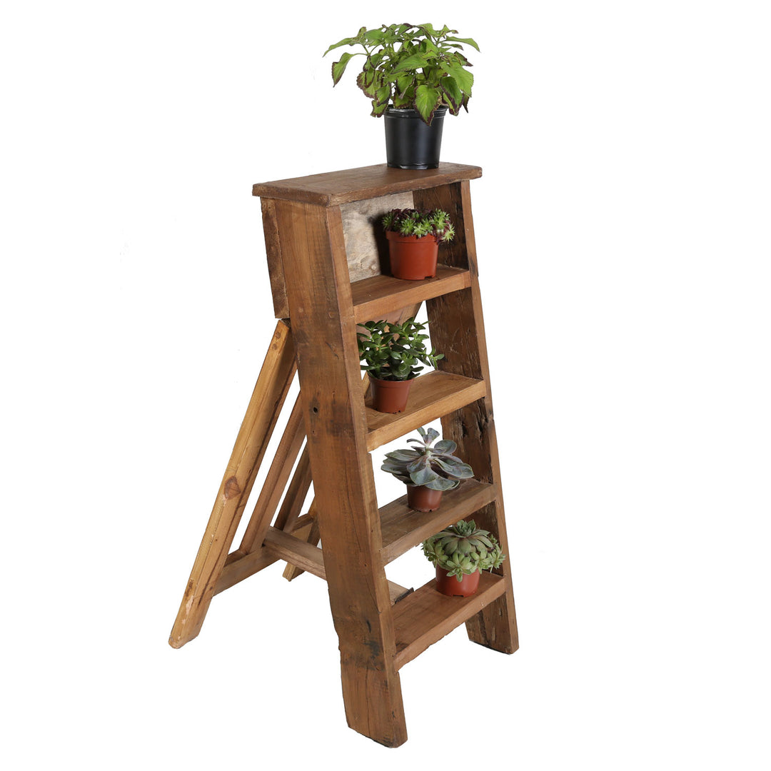 Asti plant shelf